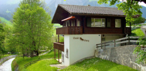 chaletpony-sommer